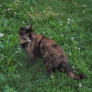 Meet your Posher, Colleen